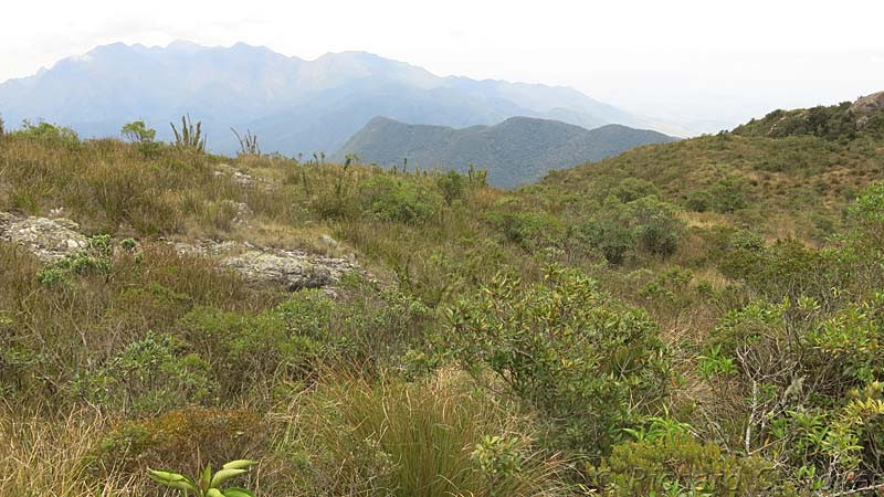We cover a variety of habitats from short montane scrub…
 
